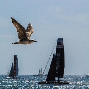 America&amp;#039;s Cup-19